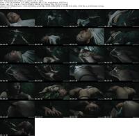 plantsvscunts_plants_vs_cunts_vol_4_s.jpg