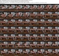 virtualtaboo-25-09-25-luna-lynx-mandy-moon-eva-tender-xxx-vr180-1440p_s.jpg