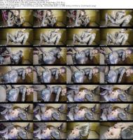 z-filmzoriginals-26-06-11-anuskatzz-xxx-1080p_s.jpg
